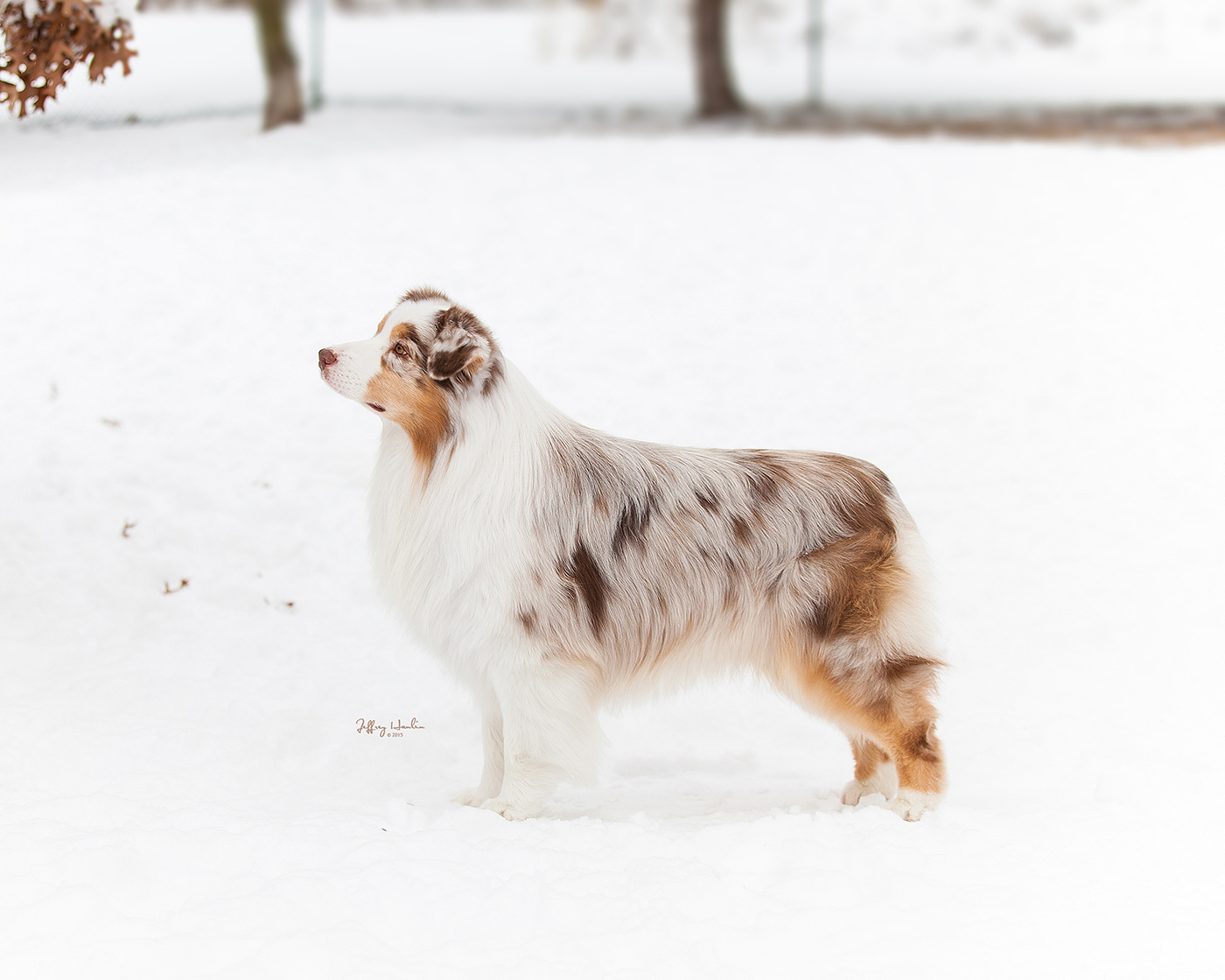 GCH Stonehaven Bayshore Secret Strike